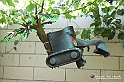 VBS_7037 - Mondo Babonzo